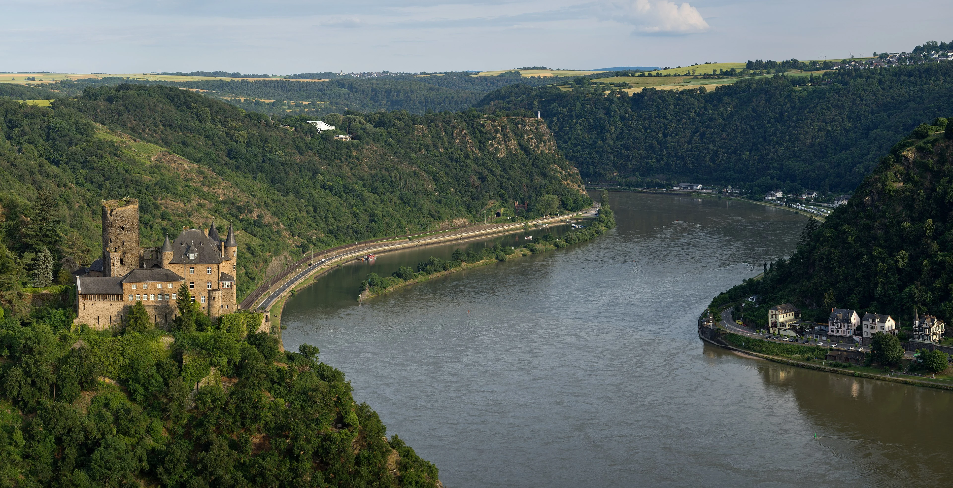 Loreley – Rhine Vineyards