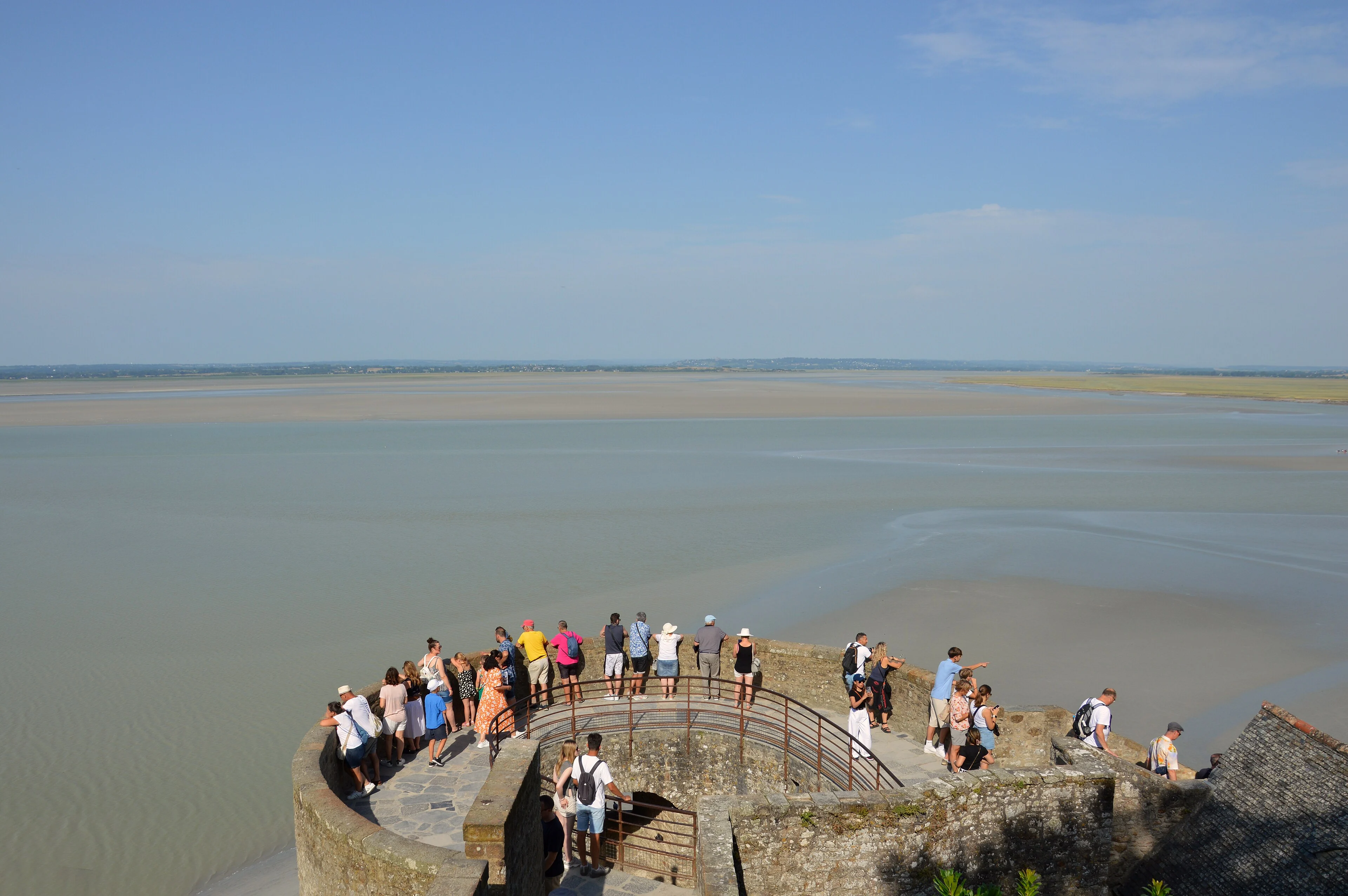Wadden Sea – Seals
