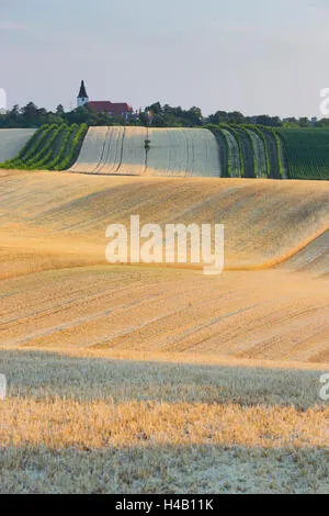 Legume din Marchfeld