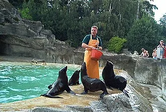 Grădina Zoologică Schönbrunn – obiectiv turistic