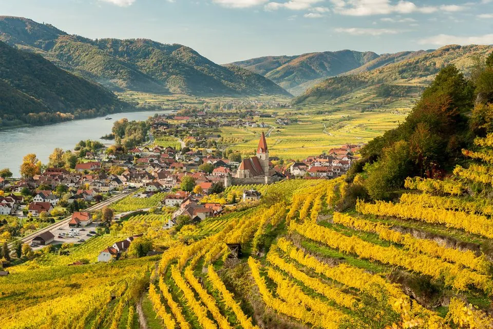 Vii din Wachau