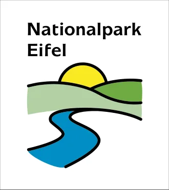 Eifel National Park – forest