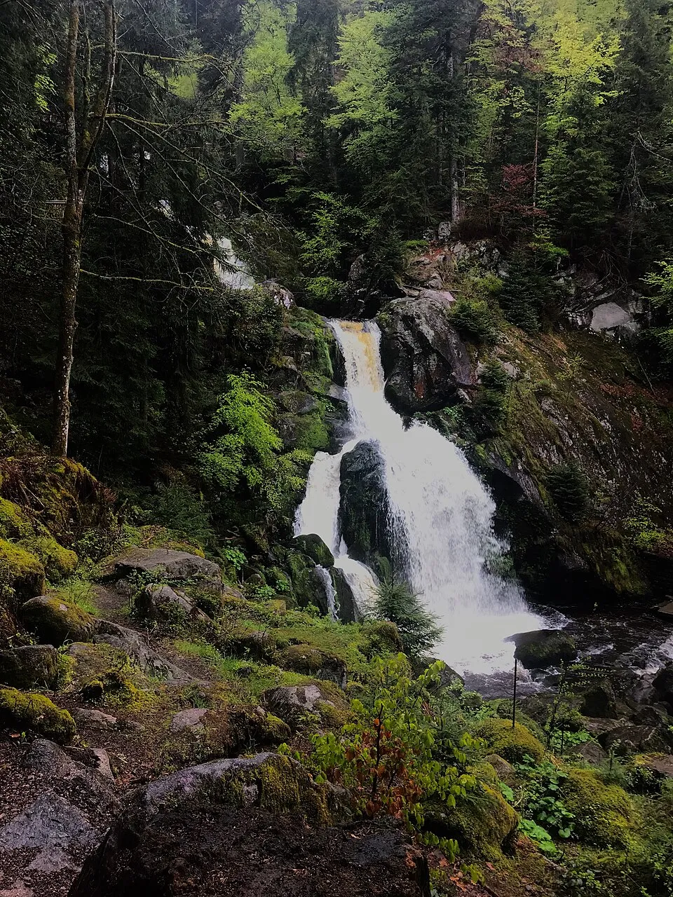 Triberg Waterfalls – landmark
