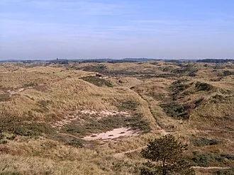 Parcul Național Zuid-Kennemerland – obiectiv turistic