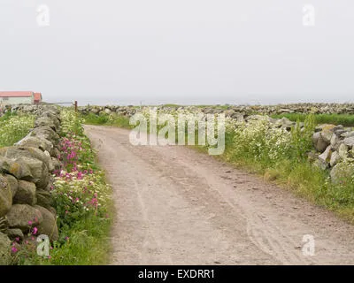 Zona agricolă Jæren
