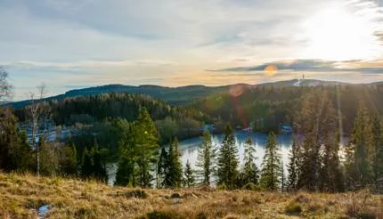Nordmarka – erdő