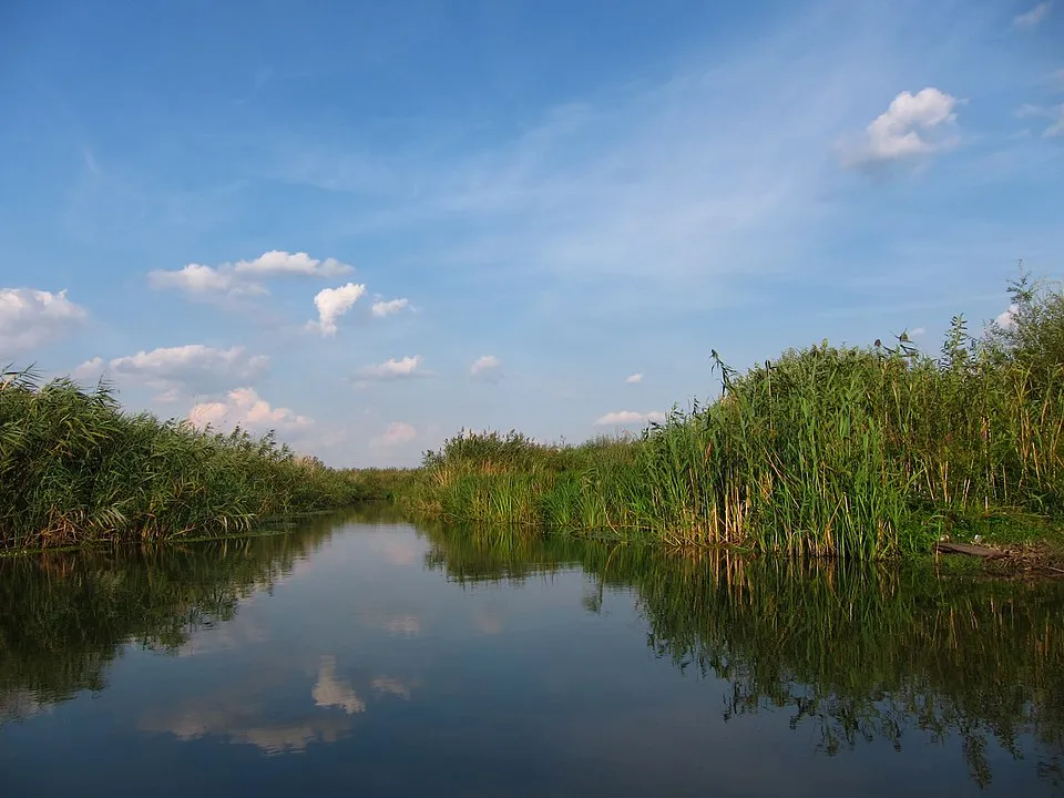 Naturpark Comana – Sehenswürdigkeit