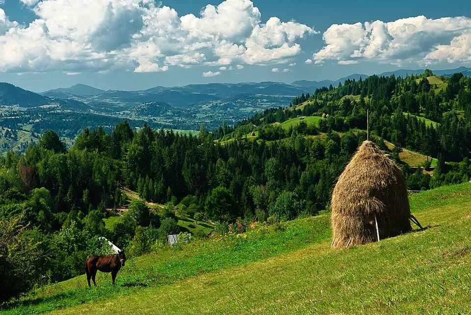Rodna Mountains National Park – landmark