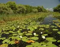 Parcul Natural Balta Mică a Brăilei – obiectiv turistic