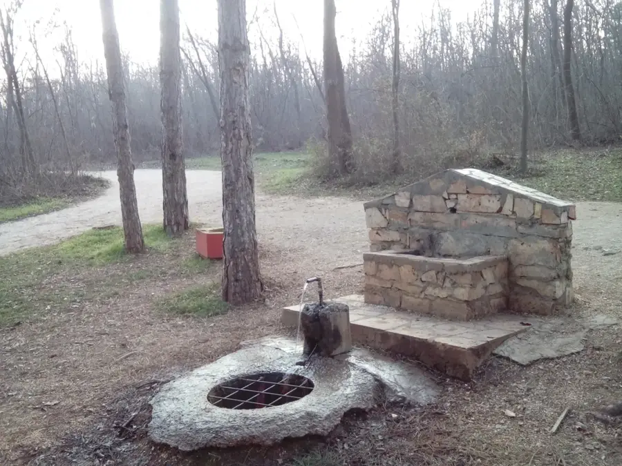 Gazi Baba Forest Park
