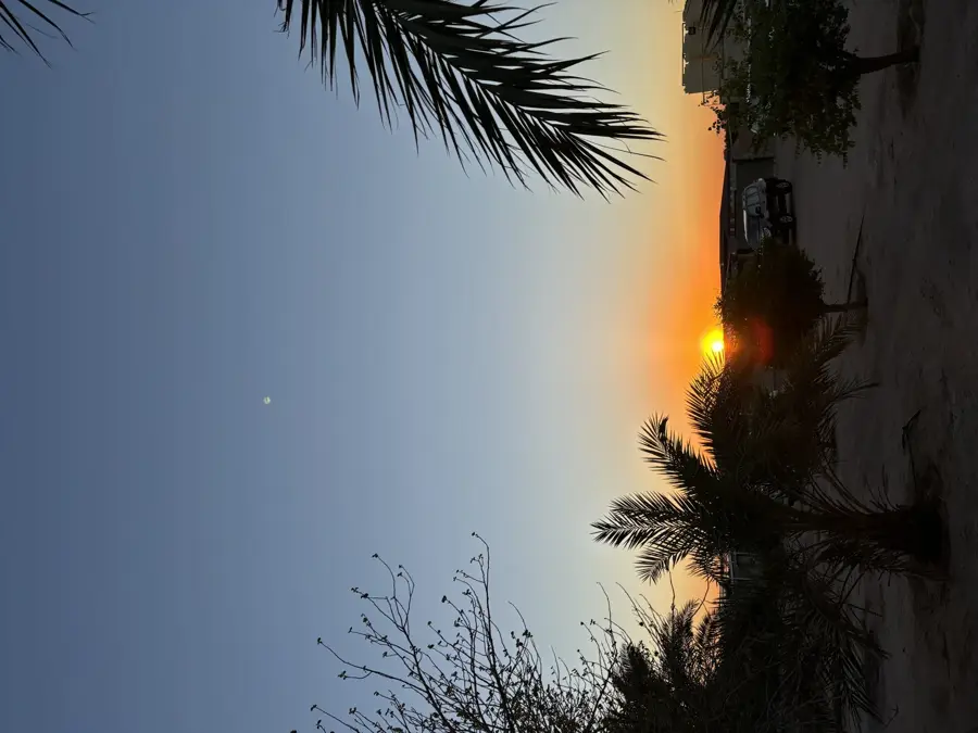Abdali Farms