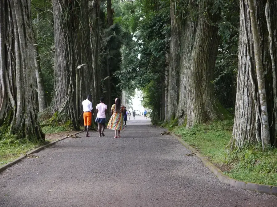 Grădina Botanică Aburi — Accra (Ghana)