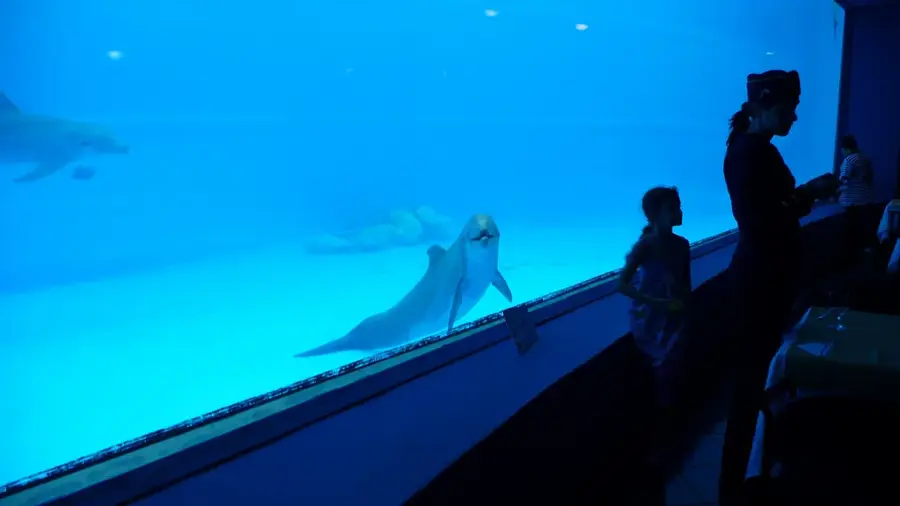 Nationales Aquarium von Kuba — Soroa (Kuba)