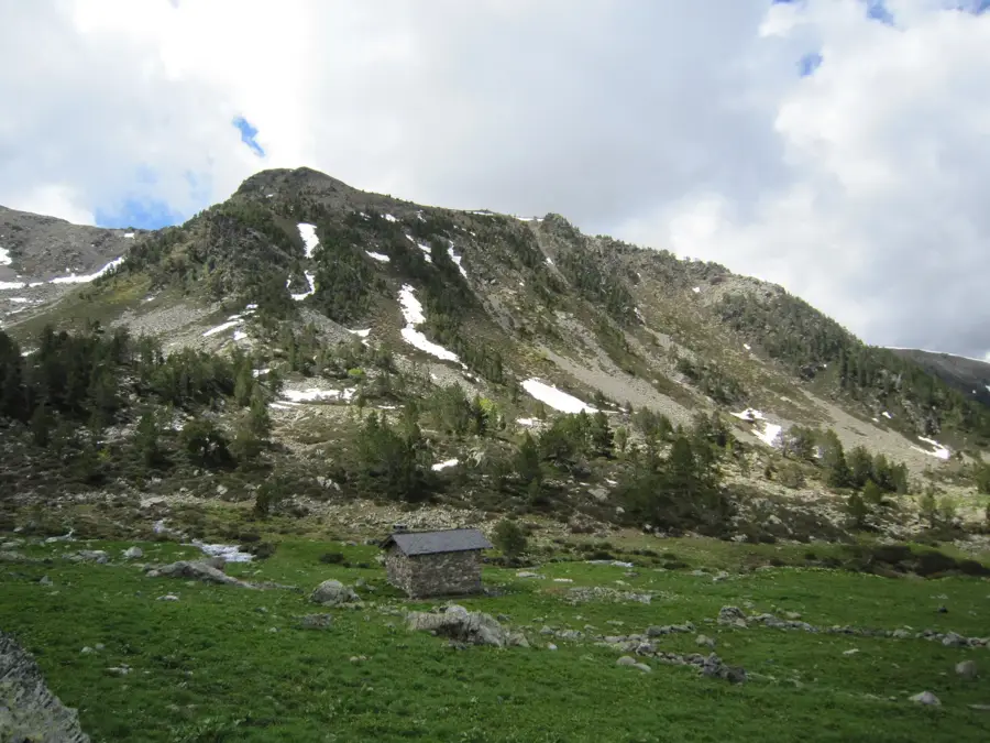 Recoltarea fructelor de pădure în Ordino — Canillo (Andorra)