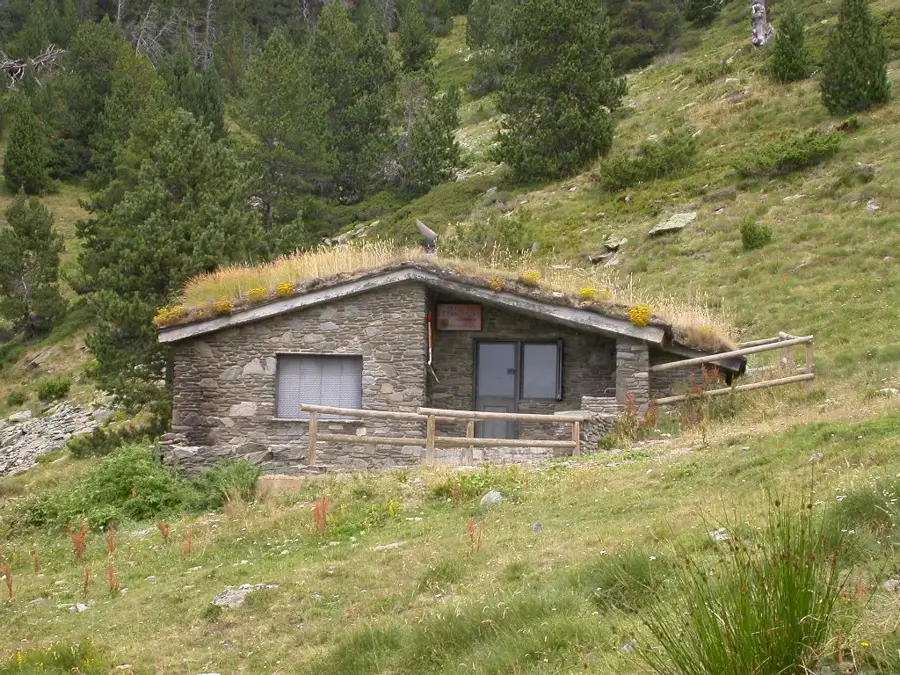 Huhurezul mic în pădurile bătrâne — Llorts (Andorra)