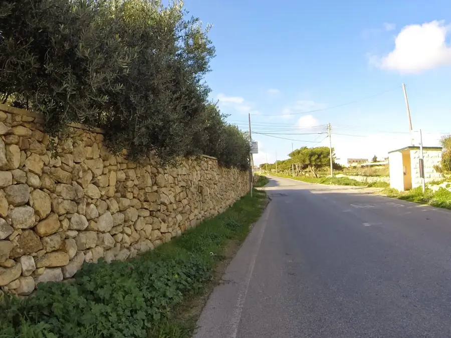 Bahrija Farmen — Dingli (Malta)