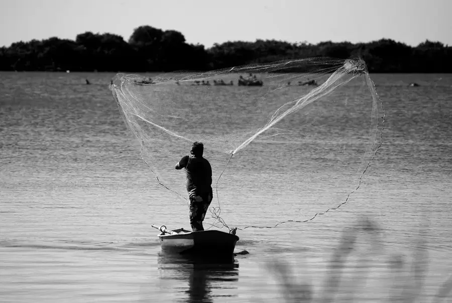 Pescuitul la Balaton — Kapos (Ungaria)