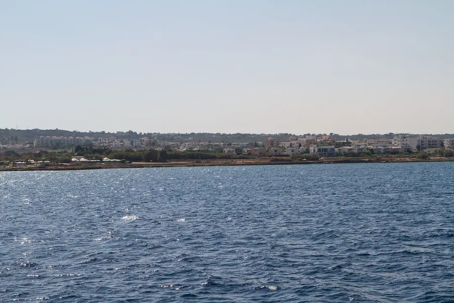 Golden Donkeys Farm Olive Oil — Karpas Peninsula (Cyprus)