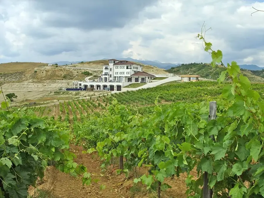 Melnik Vineyards