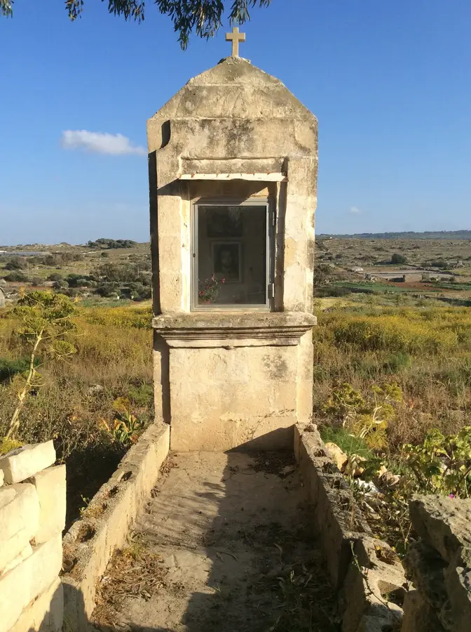 Sun Ripe Farms — Bee Keeping Experience (Malta)