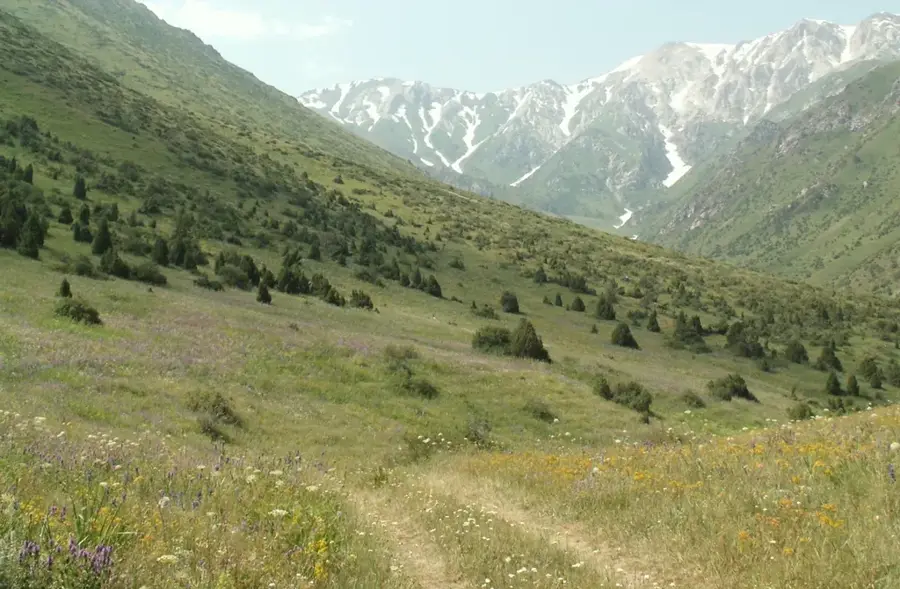 Aksu-Zhabagly Nature Reserve