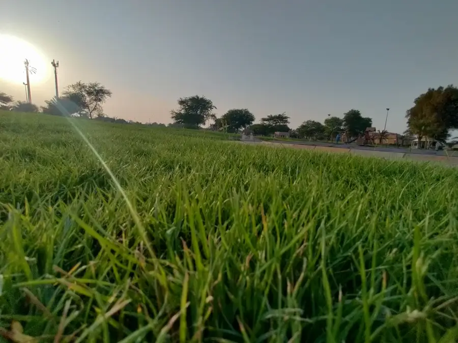 Al Ahmadi Public Park