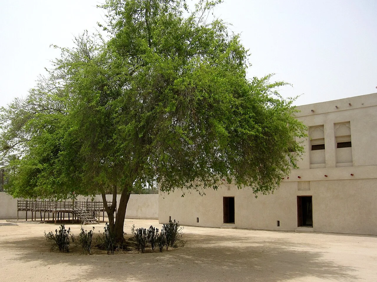 Al Jasra House