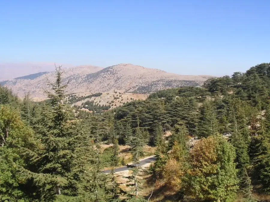Al-Shouf-Zedern-Naturreservat — Bhamdoun (Libanon)