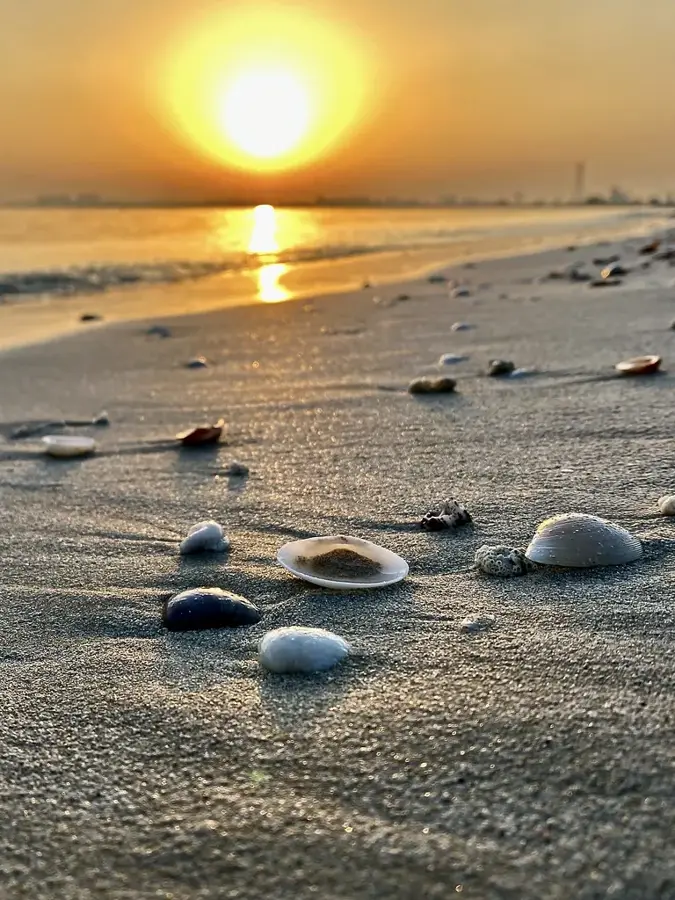 Al Zorah Nature Reserve