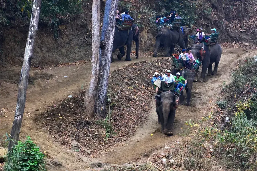 Alaungdaw-Kathapa-Nationalpark — Monywa (Myanmar)