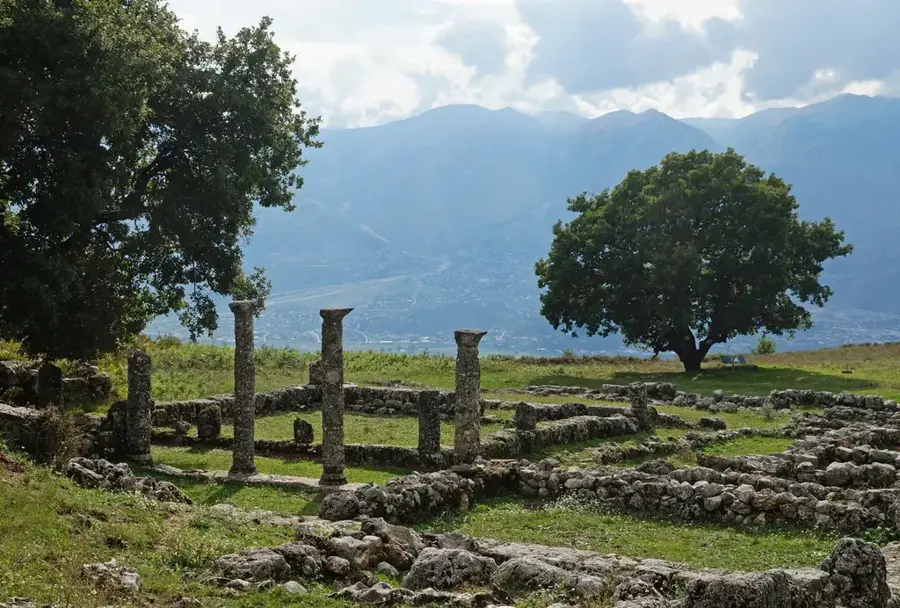 Antigonea
