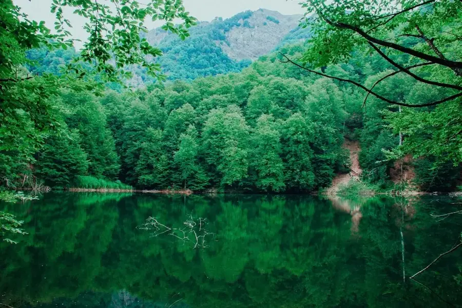 Naturschutzgebiet Bredhi i Tërnovës