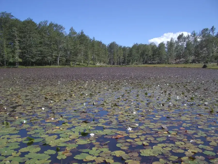 Lura National Park