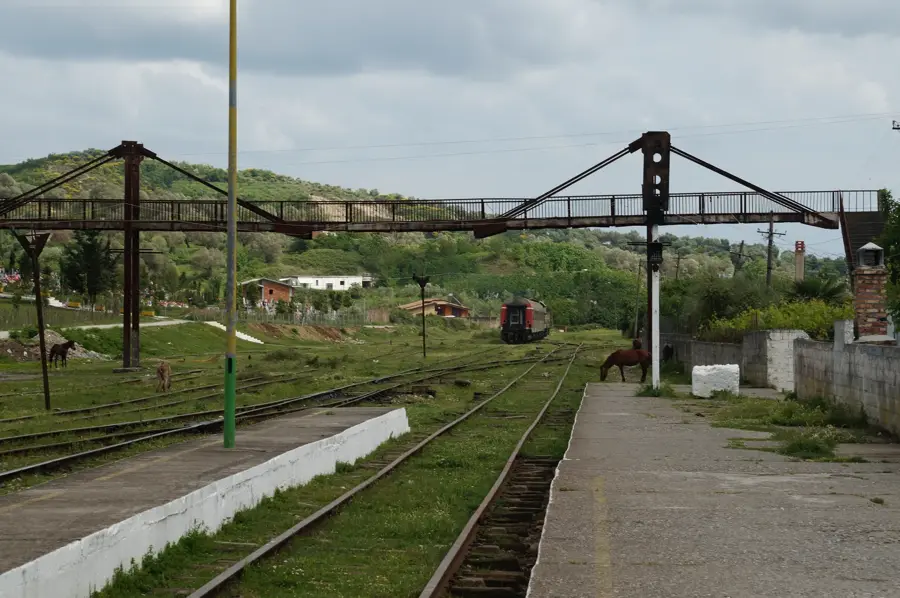 Peqin