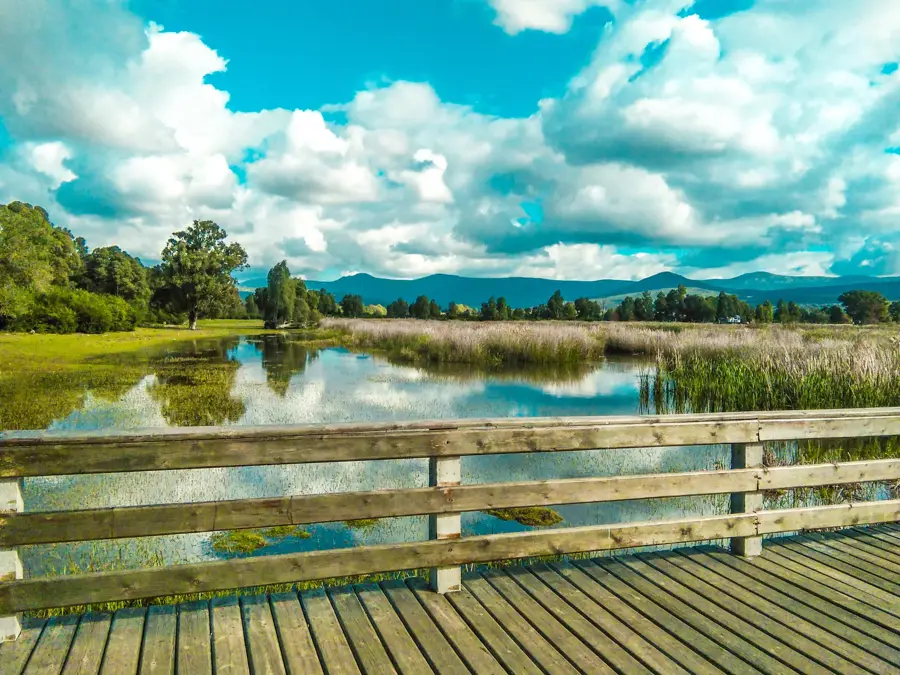 Lacul Tonga