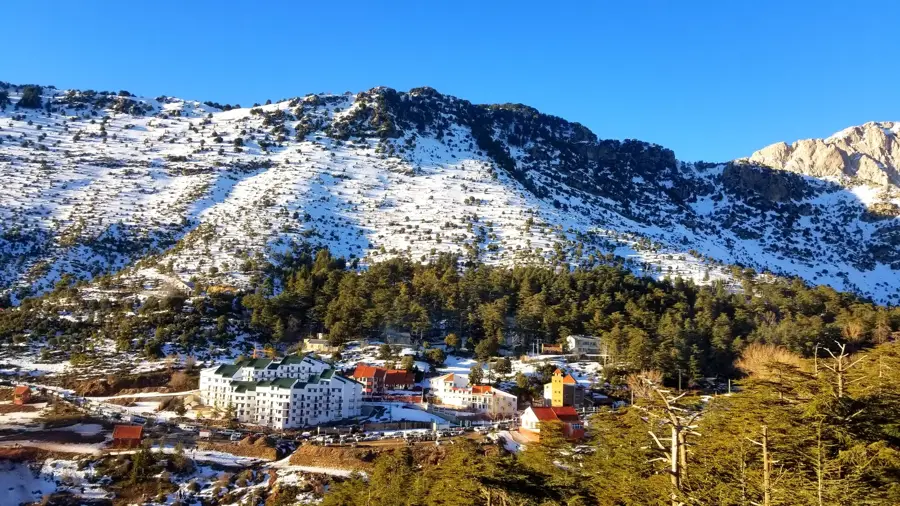 Tikjda