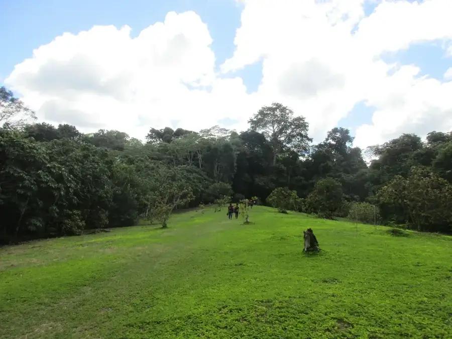 Rezervația Allpahuayo Mishana — Râul Putumayo (Peru)