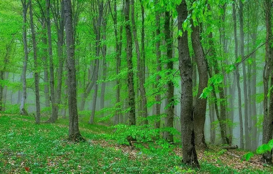 Altiaghaj National Park — Nabran Coast (Azerbaijan)
