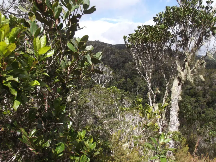 Andasibe-Mantadia Nationalpark — Alaotra-See (Madagaskar)