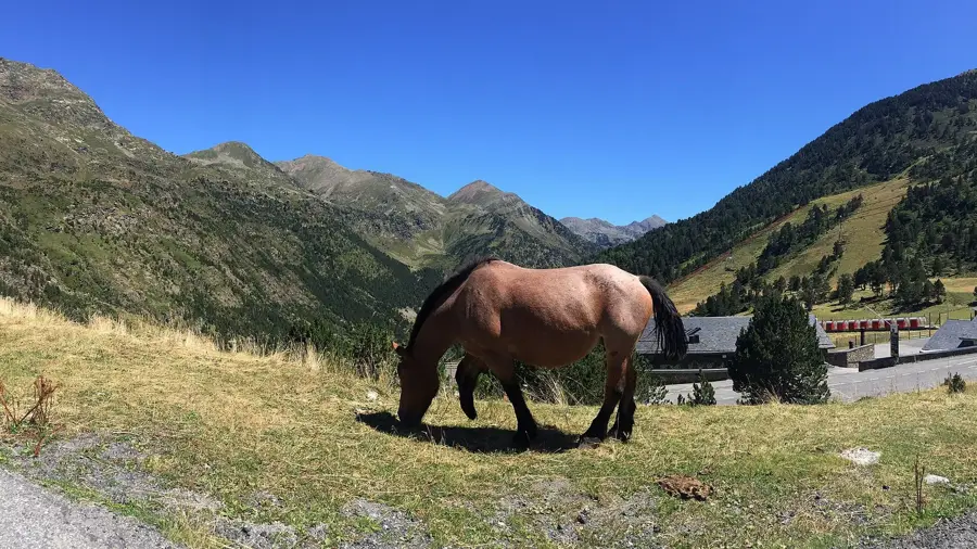 Pic d'Arcalís