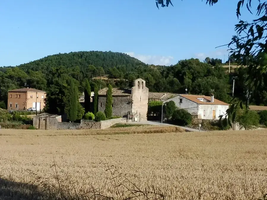 Sant Pere de l'Aldosa