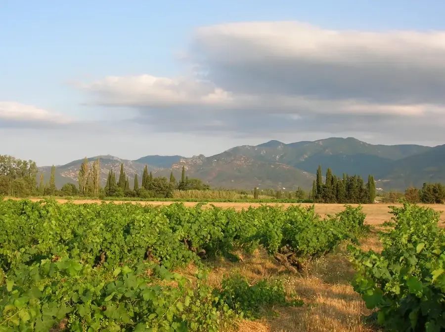Serra de l'Estanyo