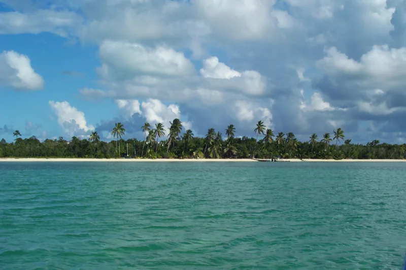Prinderea crabilor pe Andros — Andros Town (Bahamas)