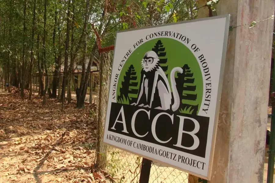 Angkor Centre for Conservation of Biodiversity — Lolei (Cambodia)