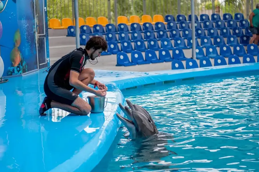 Delfinarium Konstanza — Jupiter (Rumänien)