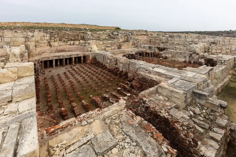 Episkopi Bay Griffon Vultures — Kourion (Cyprus)