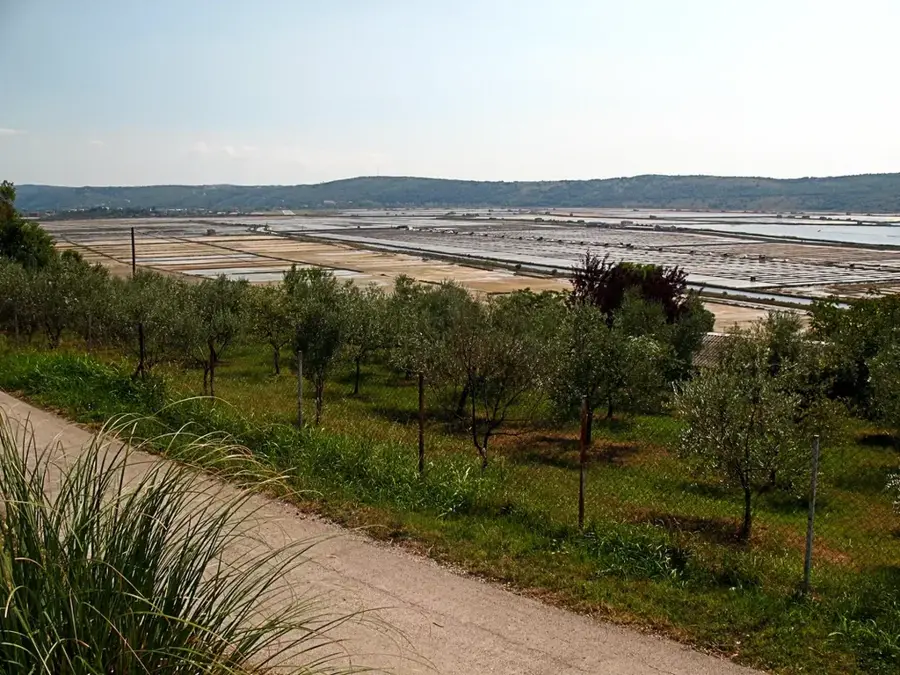 Salina Naturpark — Qawra (Malta)