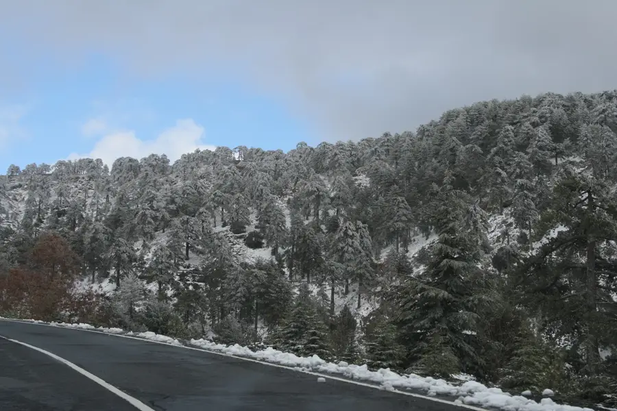 Troodos Environmental Information Centre — Mount Olympus (Cyprus)