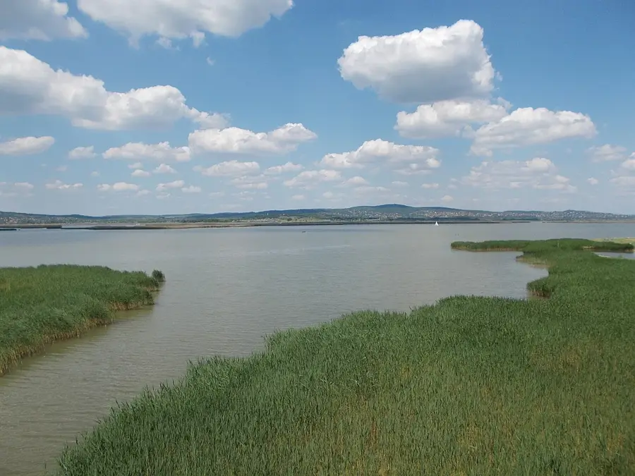 Rezervația de Păsări de la Lacul Velence