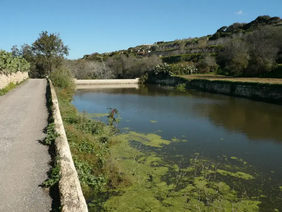 Wied il-Qlejgha (Chadwick Lakes) — The Vegetable Patch (Malta)